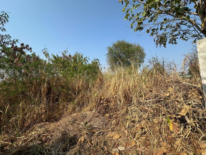 ที่ดินเปล่า มาบยางพร ปลวดแดง